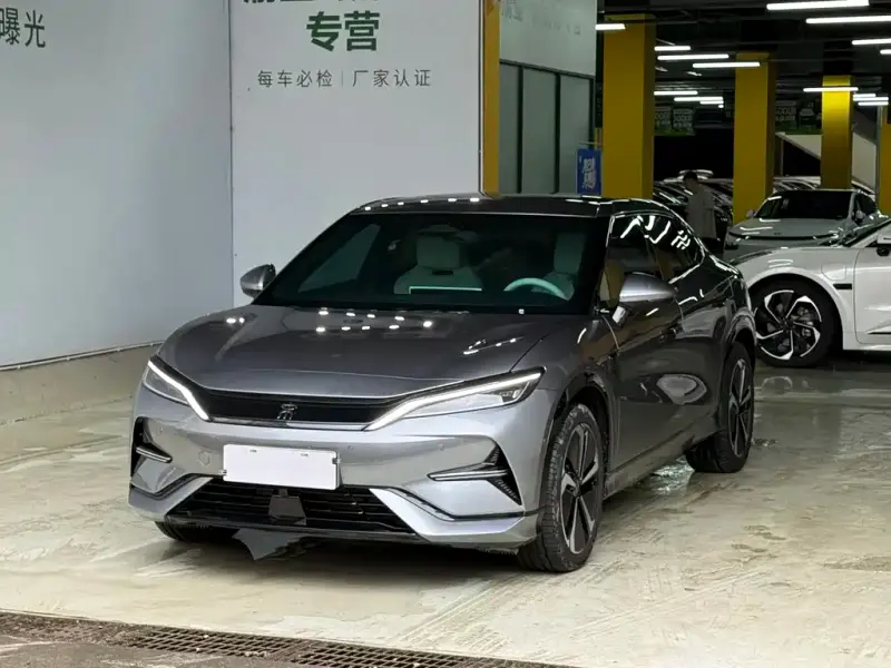 BYD L EV