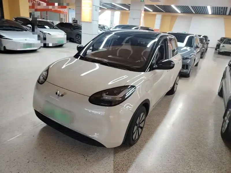 Wuling Bingo