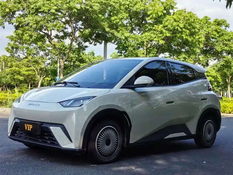 BYD Seagull