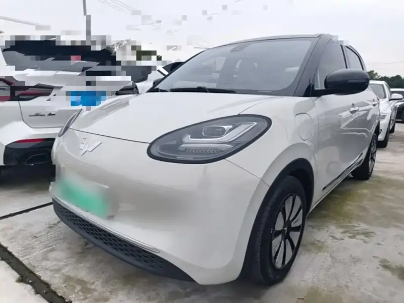 Wuling Bingo