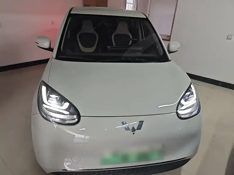 Wuling Bingo