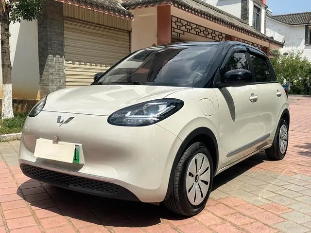 Wuling Bingo