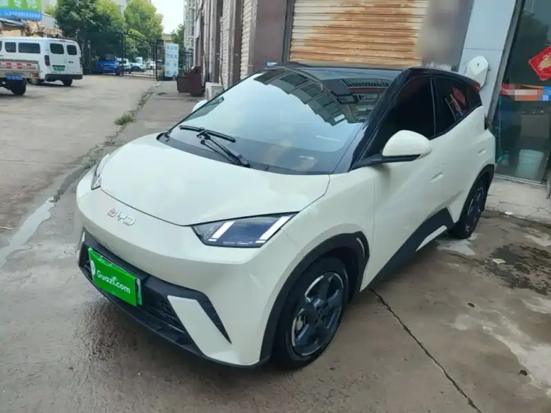 BYD Seagull