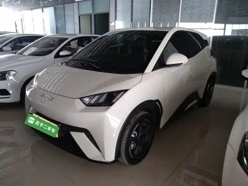 BYD Seagull