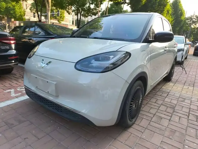 Wuling Bingo