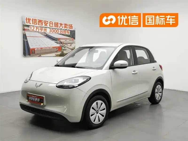 Wuling Bingo