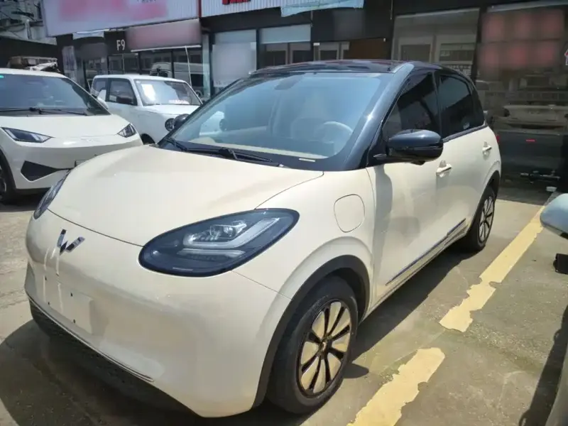 Wuling Bingo