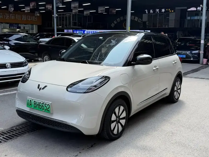 Wuling Bingo