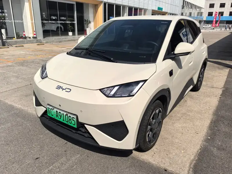 BYD Seagull