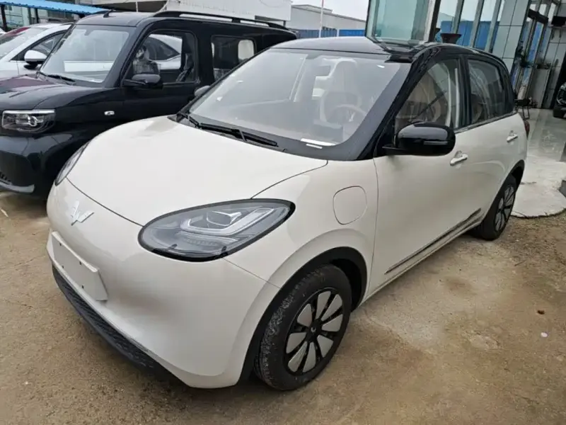 Wuling Bingo