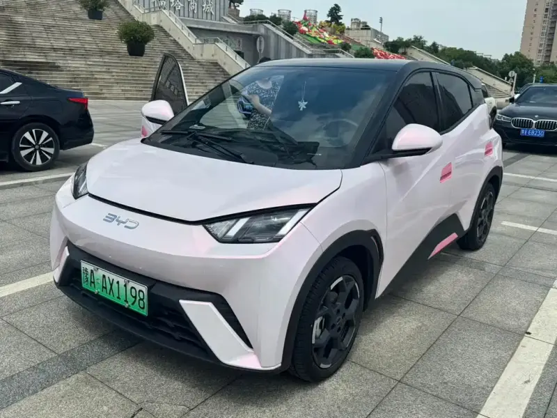 BYD Seagull