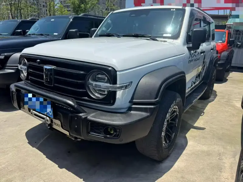 Tank 300