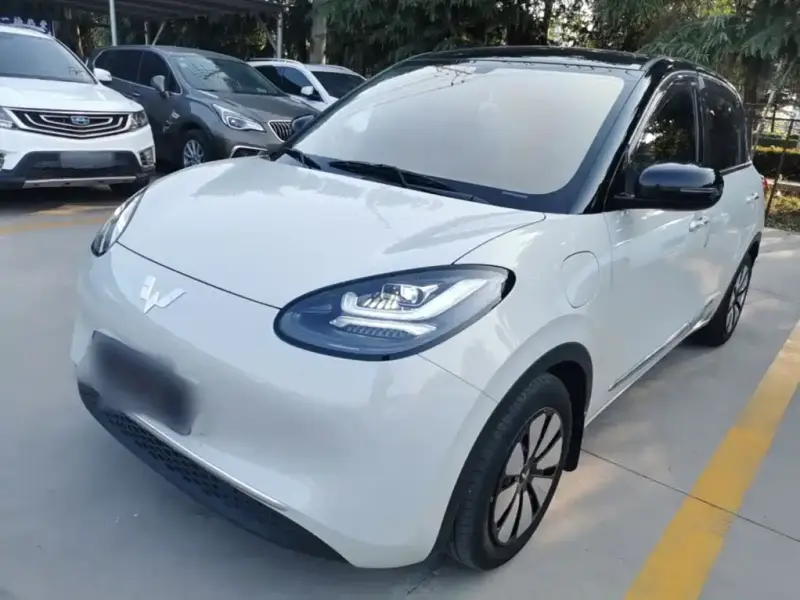 Wuling Bingo