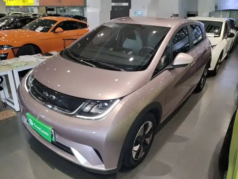 BYD Dolphin