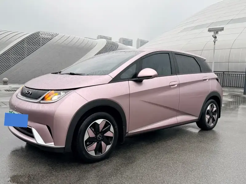 BYD Dolphin