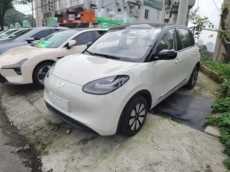 Wuling Bingo