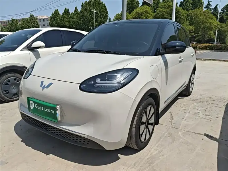 Wuling Bingo