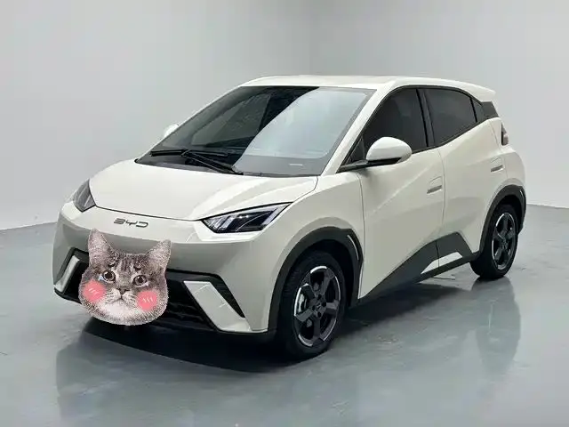 BYD Seagull