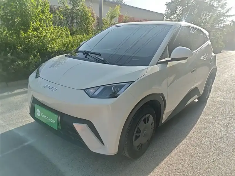 BYD Seagull