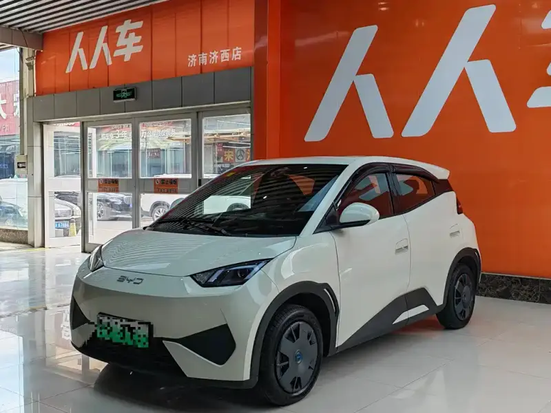 BYD Seagull