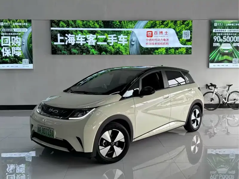 BYD Dolphin