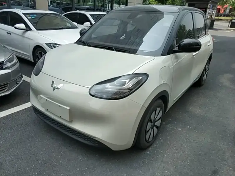 Wuling Bingo