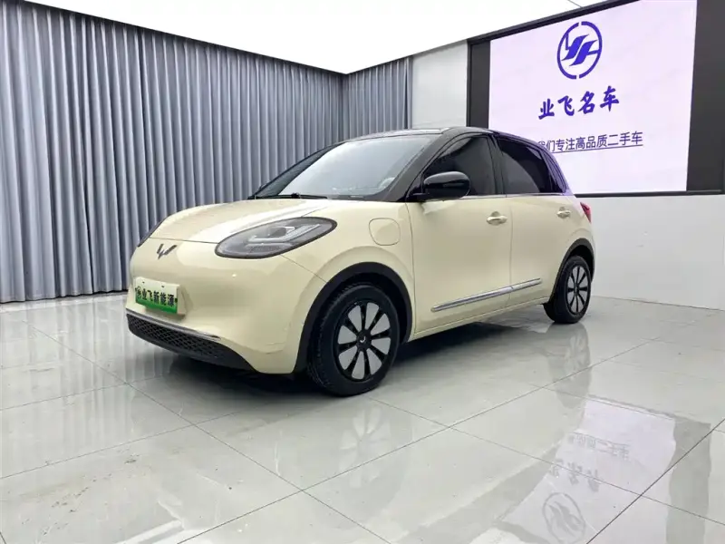 Wuling Bingo