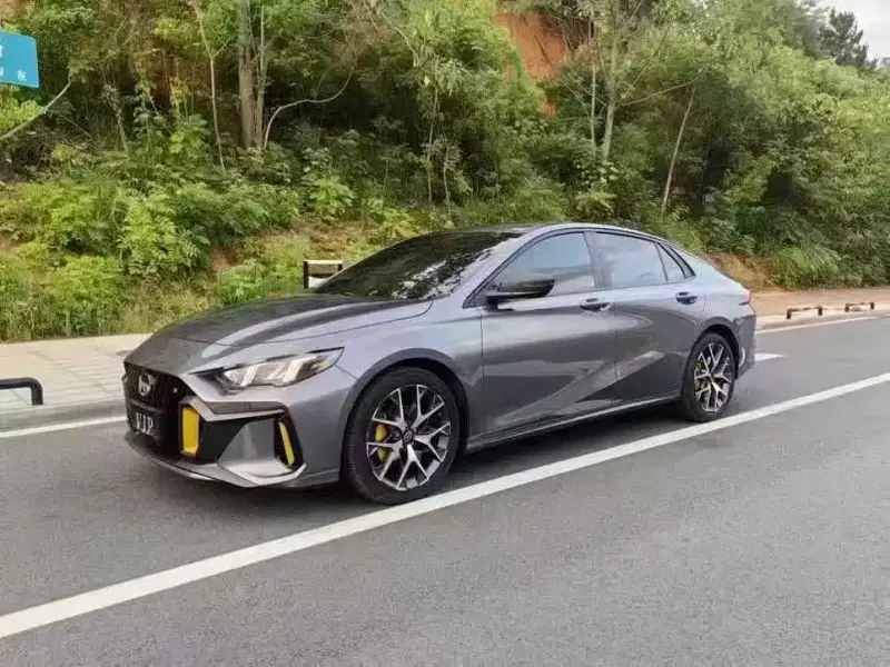 GAC Motor Empow (Shadow Leopard)