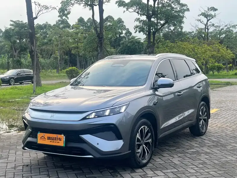 BYD Pro New Energy