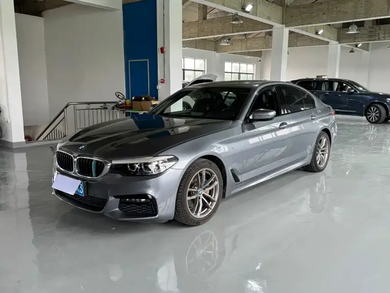 BMW 5 Series (Import)