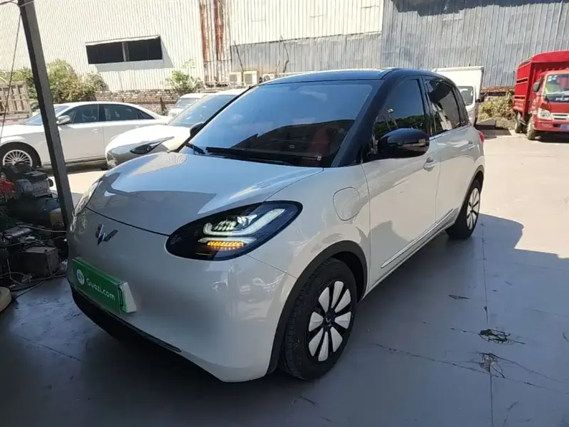 Wuling Bingo