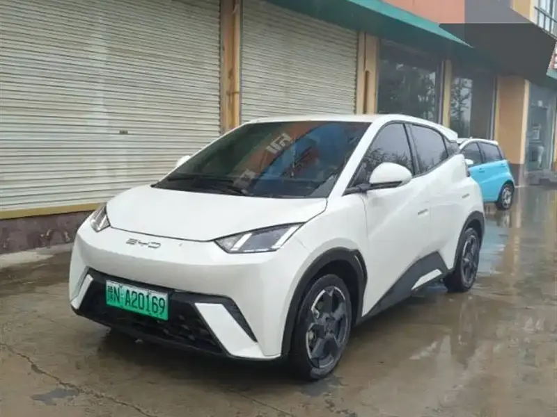 BYD Seagull
