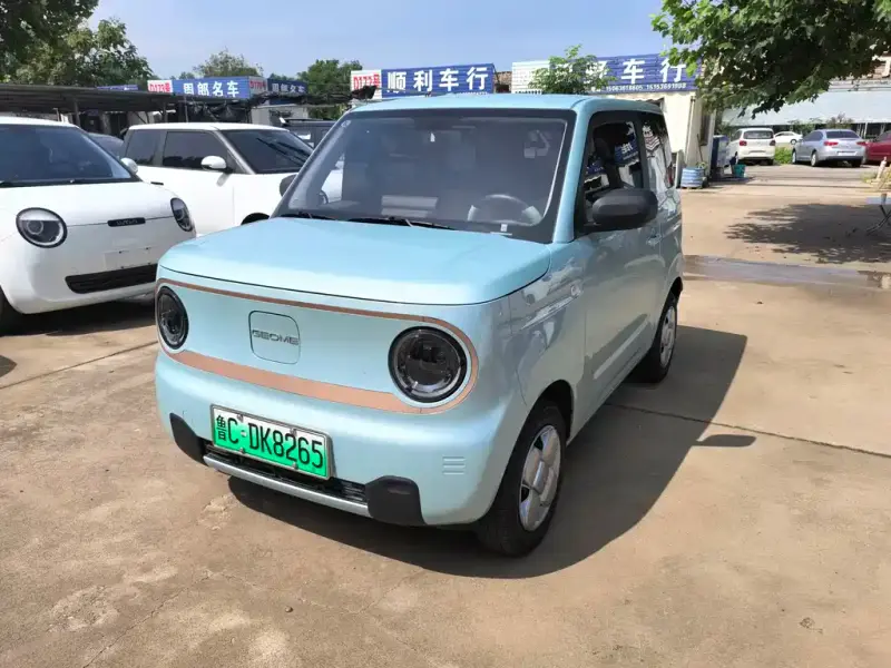 Galaxy Panda Mini (Panda)