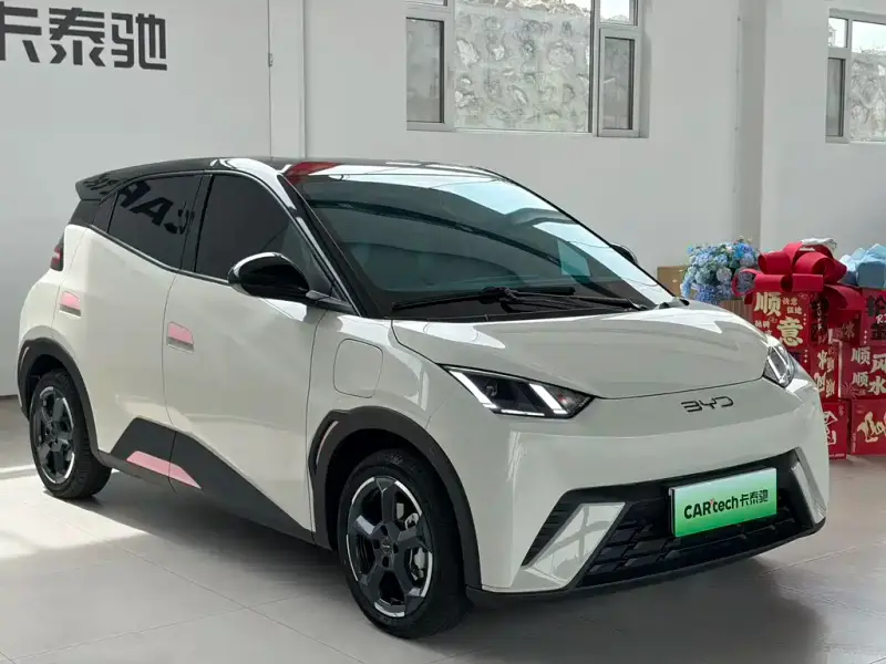 BYD Seagull