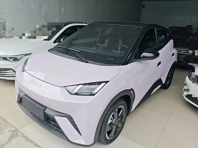 BYD Seagull