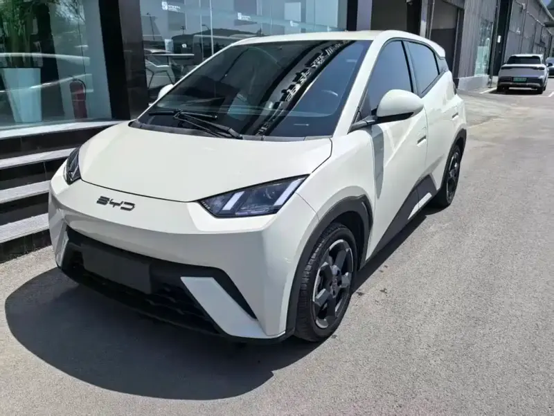 BYD Seagull