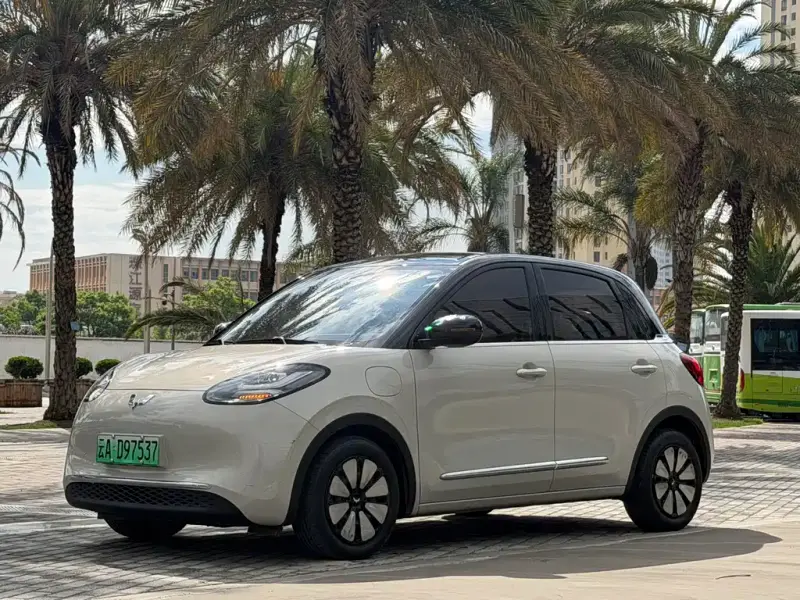 Wuling Bingo