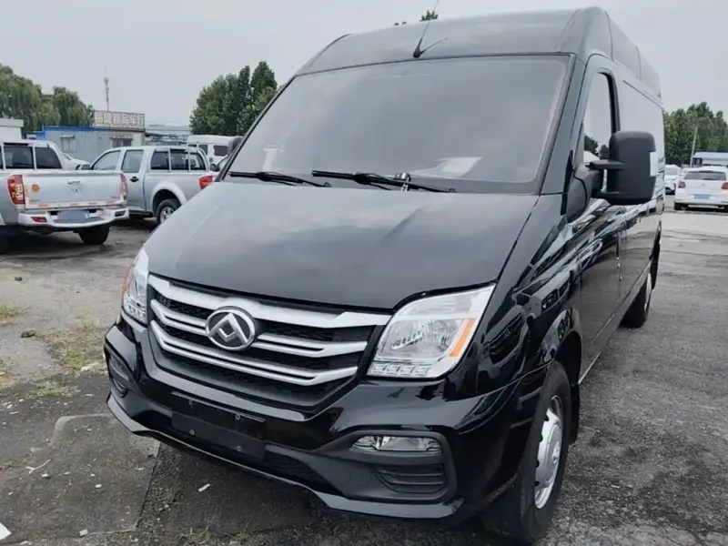 Maxus V80