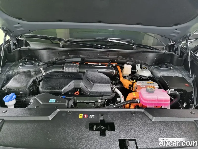 Hyundai Santa Fe (Santafe)