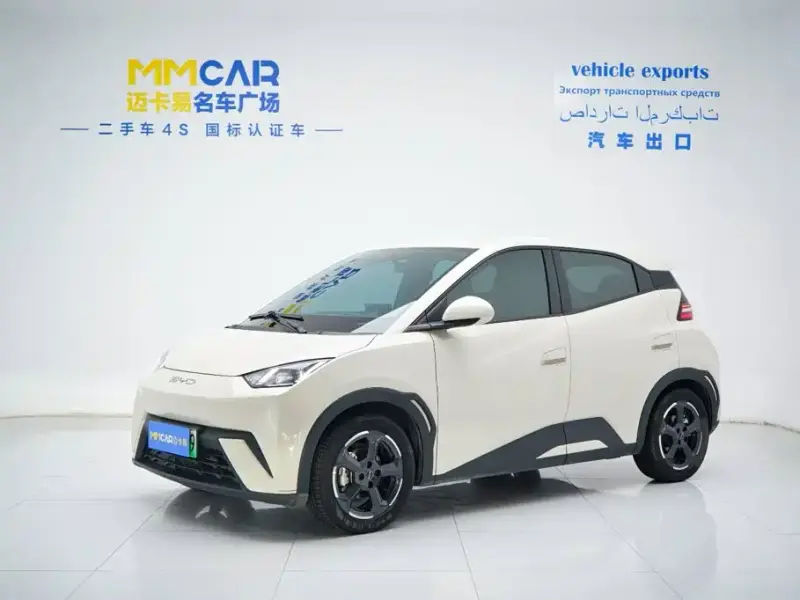 BYD Seagull