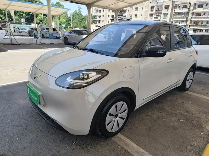 Wuling Bingo