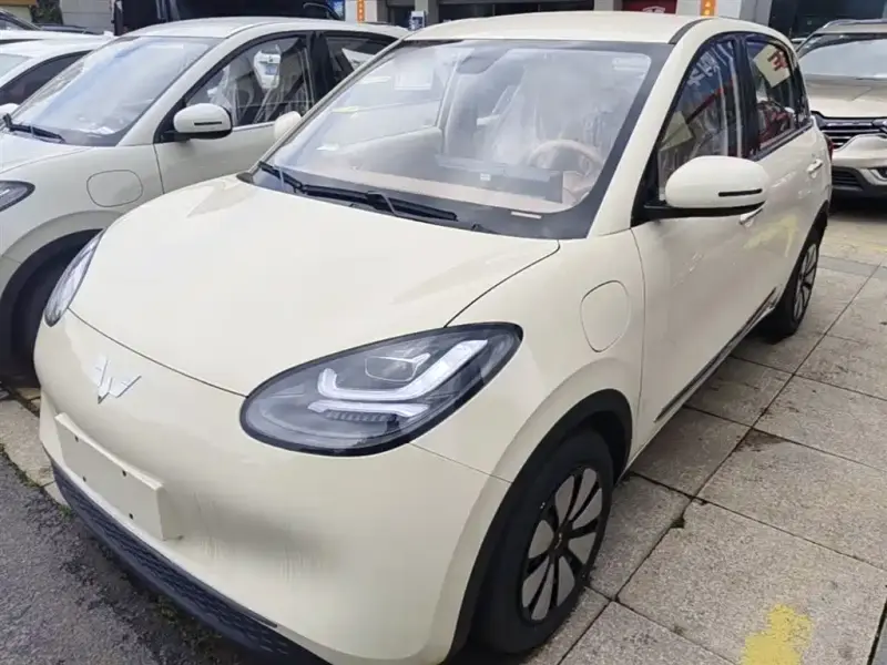 Wuling Bingo