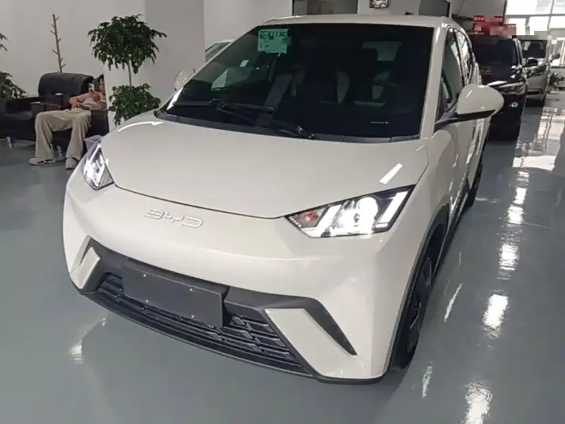 BYD Seagull