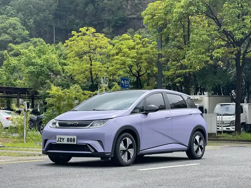 BYD Dolphin