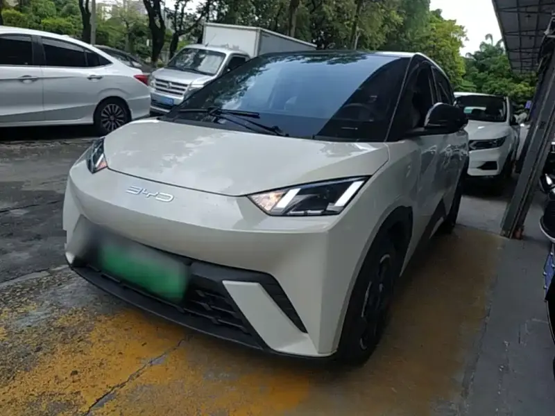 BYD Seagull