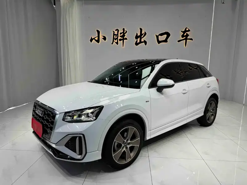 Audi Q2L