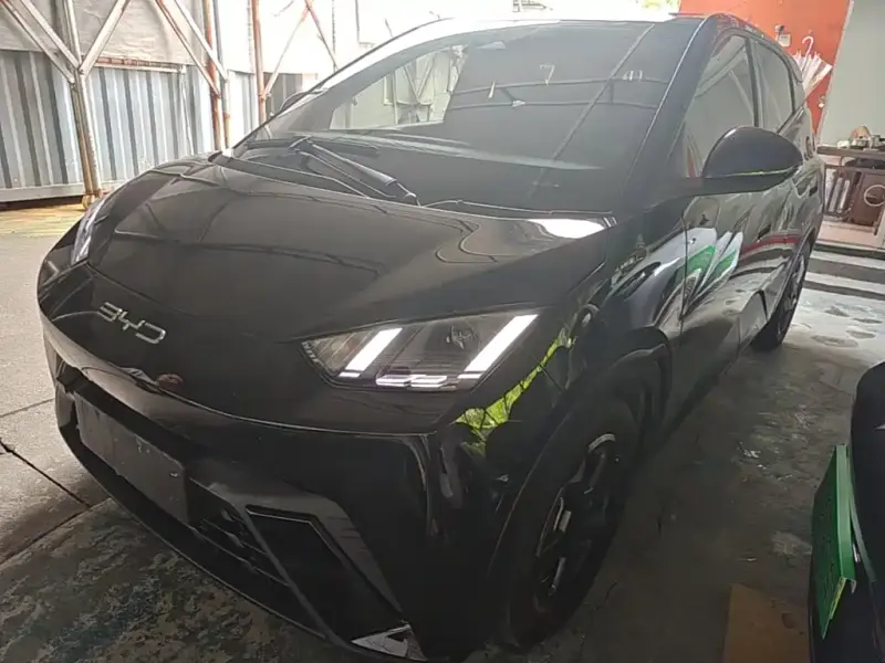 BYD Seagull