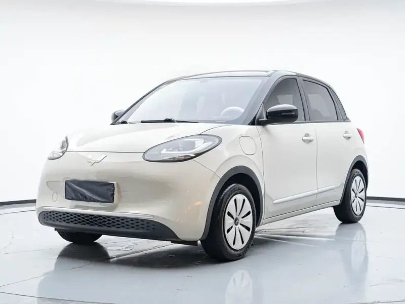 Wuling Bingo