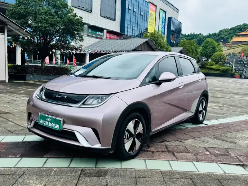 BYD Dolphin