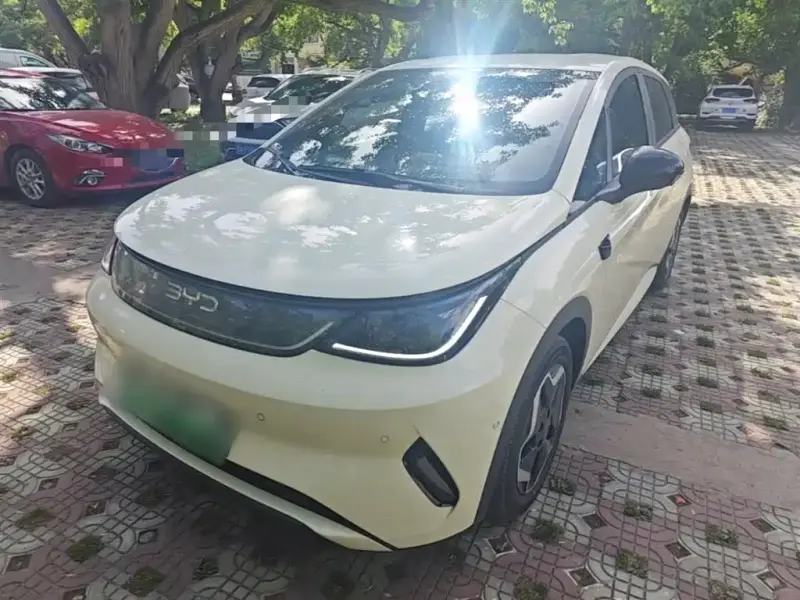 BYD Dolphin